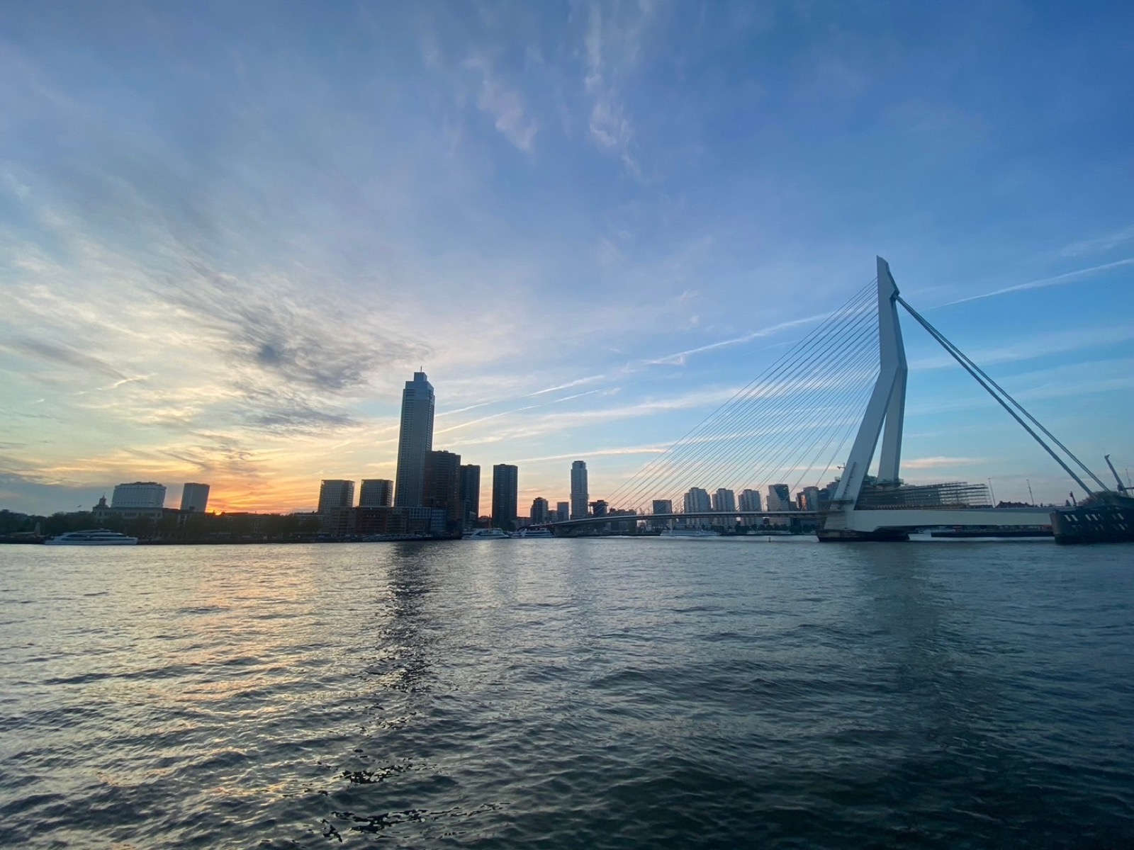 Rotterdam — Erasmus Bridge
